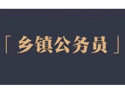 鄉(xiāng)鎮(zhèn)公務(wù)員待遇？